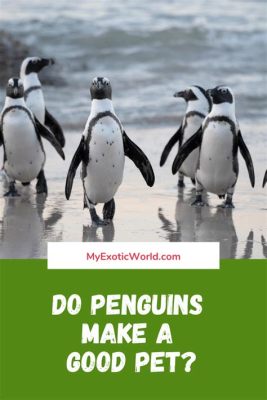 How to Get My Website Noticed: Why Penguins Don’t Use Social Media