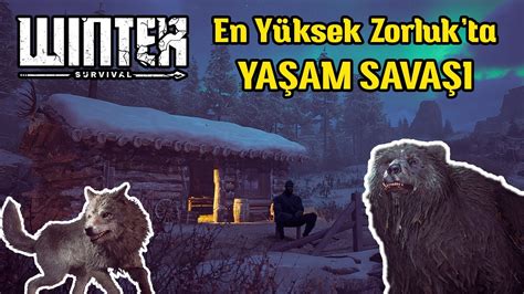 Long Dark! Arktik Bir Dünyada Hayatta Kalma Savaşı