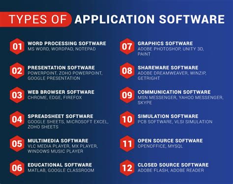 What is Business Application Software: A Symphony of Chaos and Order